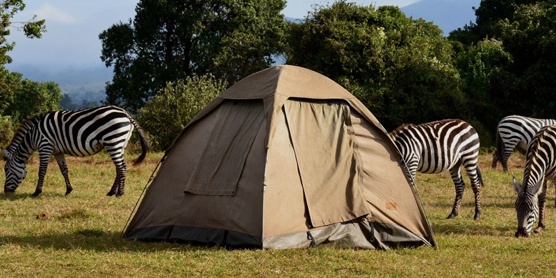 4 Days Tanzania Camping Safari Serengeti and Ngorongoro Crater