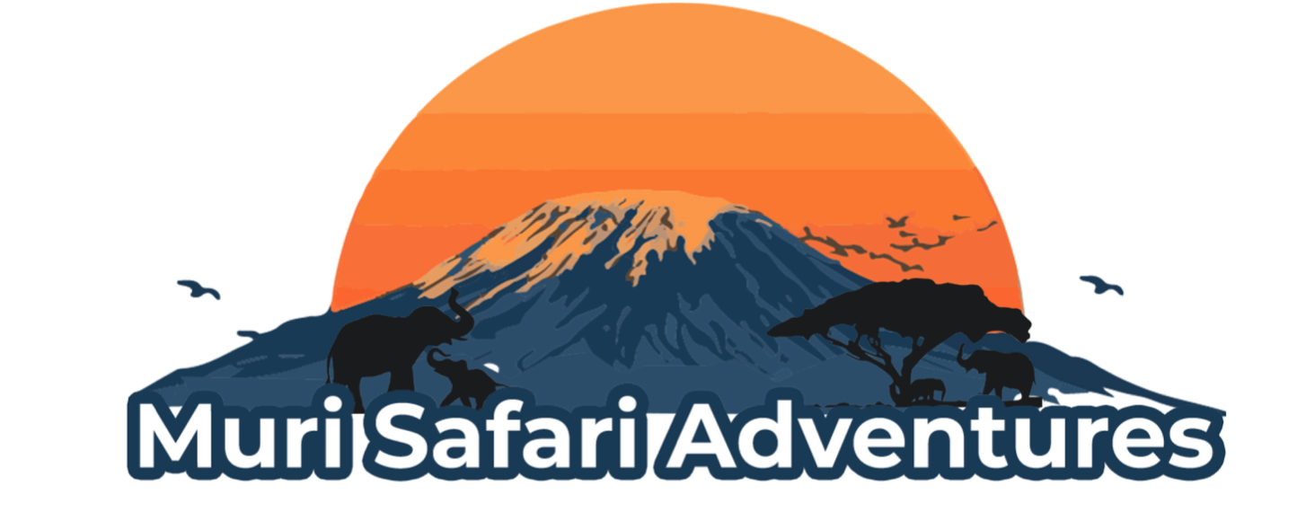 Muri Safari Adventures